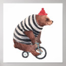 Search for tricycles posters Cycling