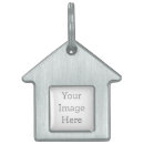 Search for create pet supplies Birthday