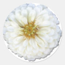 Search for zinnia flower stickers Zinnias