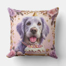 Search for birthday cake cushions Celebration