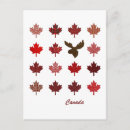 Search for maple leafs postcards Red