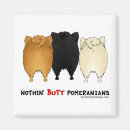 Search for pom magnets Animals