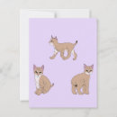 Search for wildcat postcards Cats