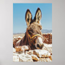 Search for donkeys art Wildlife