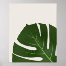 Search for monstera posters Nature