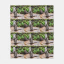 Search for otter blankets Wildlife