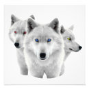 Search for winter wolves posters Arctic