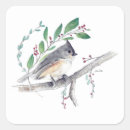 Search for tufts stickers Tufted titmouse