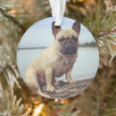 Search for pets christmas tree decorations animals