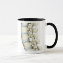 Search for vertebrae mugs Medical