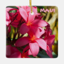 Search for plumeria christmas tree decorations Tropical