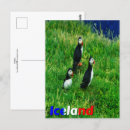 Search for puffin postcards Birds