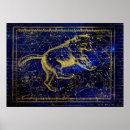 Search for ursa major posters Zodiac