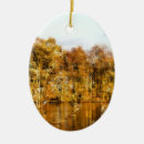 Search for autumnal christmas tree decorations Seasons