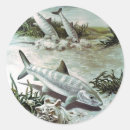 Search for underwater scene stickers Fish
