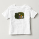 Search for mandarin tshirts Colourful