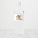 Search for tortoise labels Cute