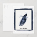 Search for indian art postcards Bird