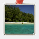 Search for seascape christmas tree decorations Beach