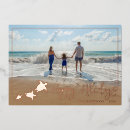 Search for turtle christmas cards Sea turtles
