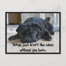 Search for pug puppies postcards Black