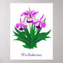 Search for purple and light posters Flowers