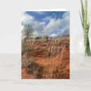 Search for area cards Scenic