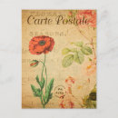 Search for vintage botanical postcards Poppy