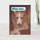 Search for mutts cards Funny