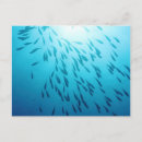 Search for deep sea fish postcards Blue