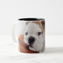 Search for bulldog puppy mugs Pets