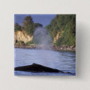 Search for alaska badges Inside passage