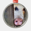 Search for funny animal christmas tree decorations Humourous