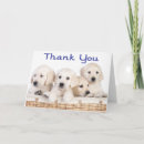 Search for labrador thank you cards Thanks