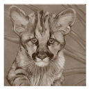 Search for cat paintings posters Big cats
