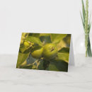 Search for green apples cards Leaves