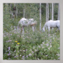 Search for wild horse posters Mountain