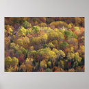 Search for autumn background posters Scene
