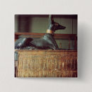 Search for anubis badges Dynasty