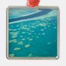 Search for queensland christmas tree decorations Walter bibikow
