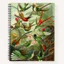 Search for birds notebooks Trochilidae