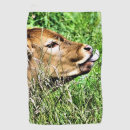 Search for cow golf equipment Farm animals