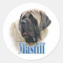 Search for mastiffs stickers Dog