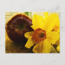 Search for cancer photography Flower