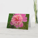 Search for peony birthday cards Nature