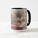 Search for pet bowl mugs Kitten