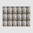 Search for alpaca tissue paper Animal