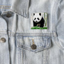 Search for bear cub badges Nature