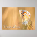Search for carpe diem posters Encouragement