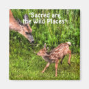 Search for wildlife lover magnets Deer